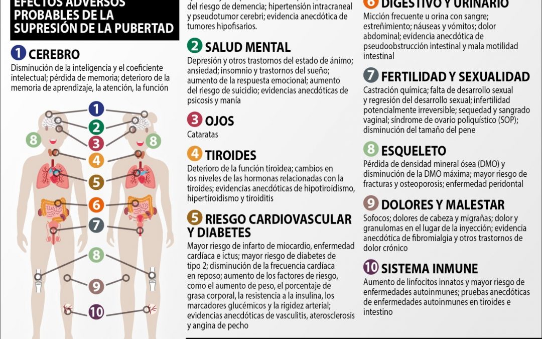 Efectos adversos probables de la supresión de la pubertad (infografía)