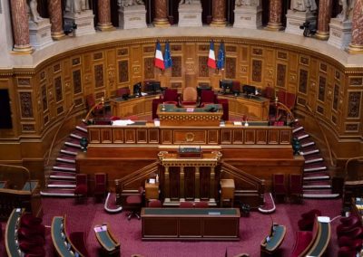 El grupo de Los Republicanos en el Senado francés quiere prohibir la transición médica para menores