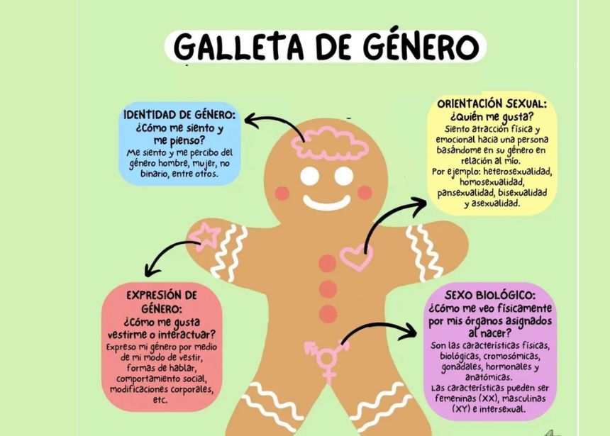 La ideología de la identidad de género no se enseñará en las escuelas británicas