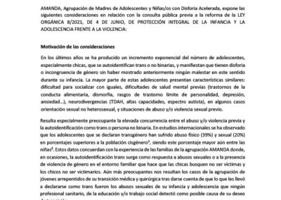 APORTACIONES DE AMANDA A LA CONSULTA PÚBLICA PREVIA SOBRE LA LEY ORGÁNICA PARA LA REFORMA DE LA LEY ORGÁNICA 8/2021, DE 4 DE JUNIO, DE PROTECCIÓN INTEGRAL DE LA INFANCIA Y LA ADOLESCENCIA FRENTE A LA VIOLENCIA