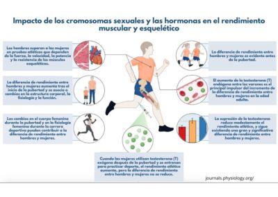 Evidencias sobre las diferencias entre sexos en el rendimiento deportivo