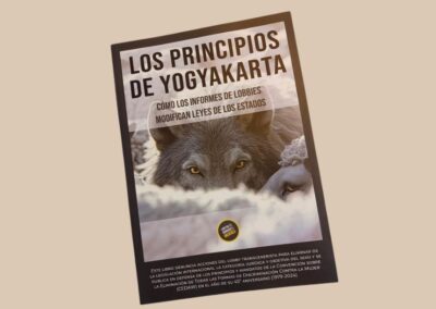 Presentamos el libro Los Principios de Yogyakarta
