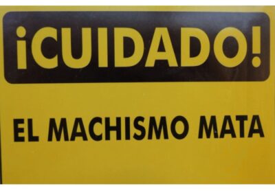 LO QUE VOX NO PUEDE NEGAR EN EL CONGRESO: EL MACHISMO MATA