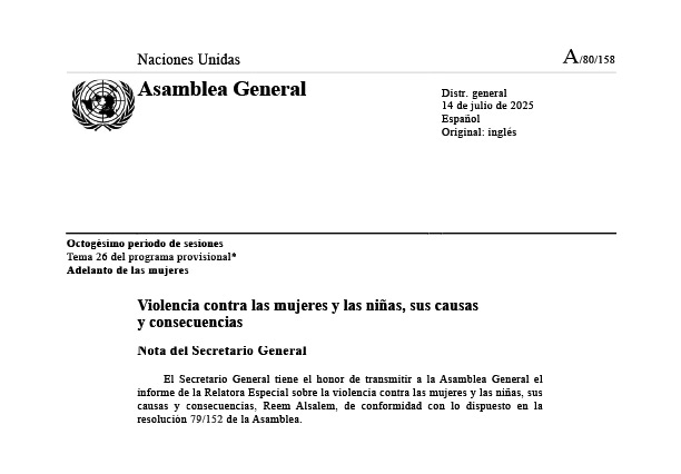 Informe Relatora ONU Vientres de Alquiler