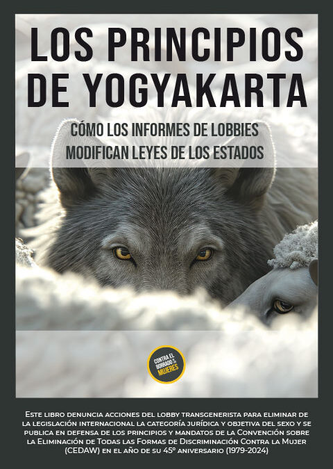 Los Principios de Yogyakarta
